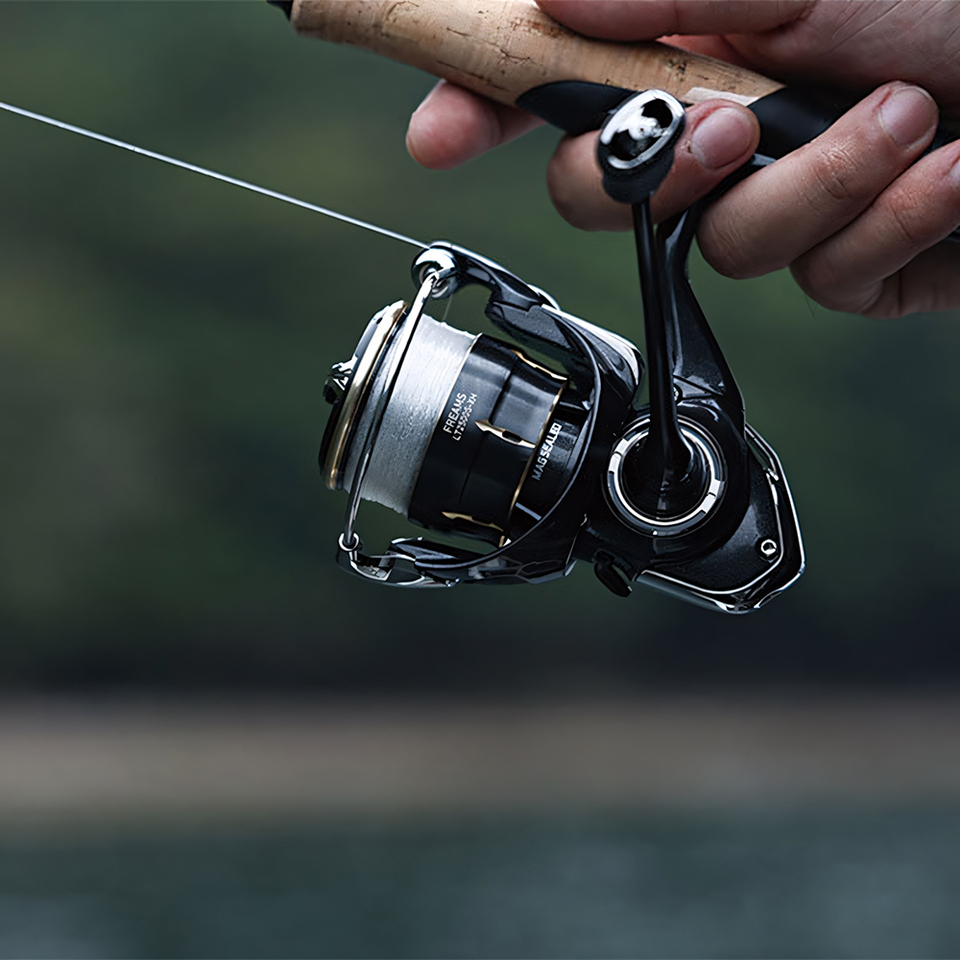 Carrete de Pesca Giratorio DAI - Shimano Reel Stradic reseña y precio